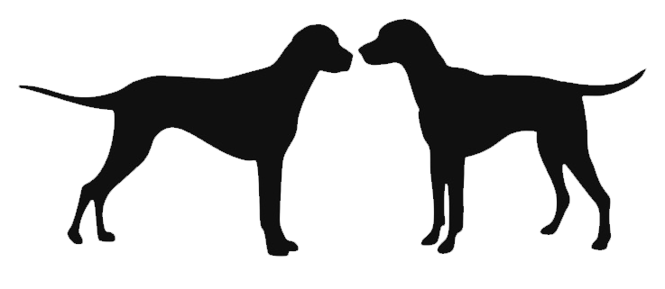 2 Black Dogs Distillery